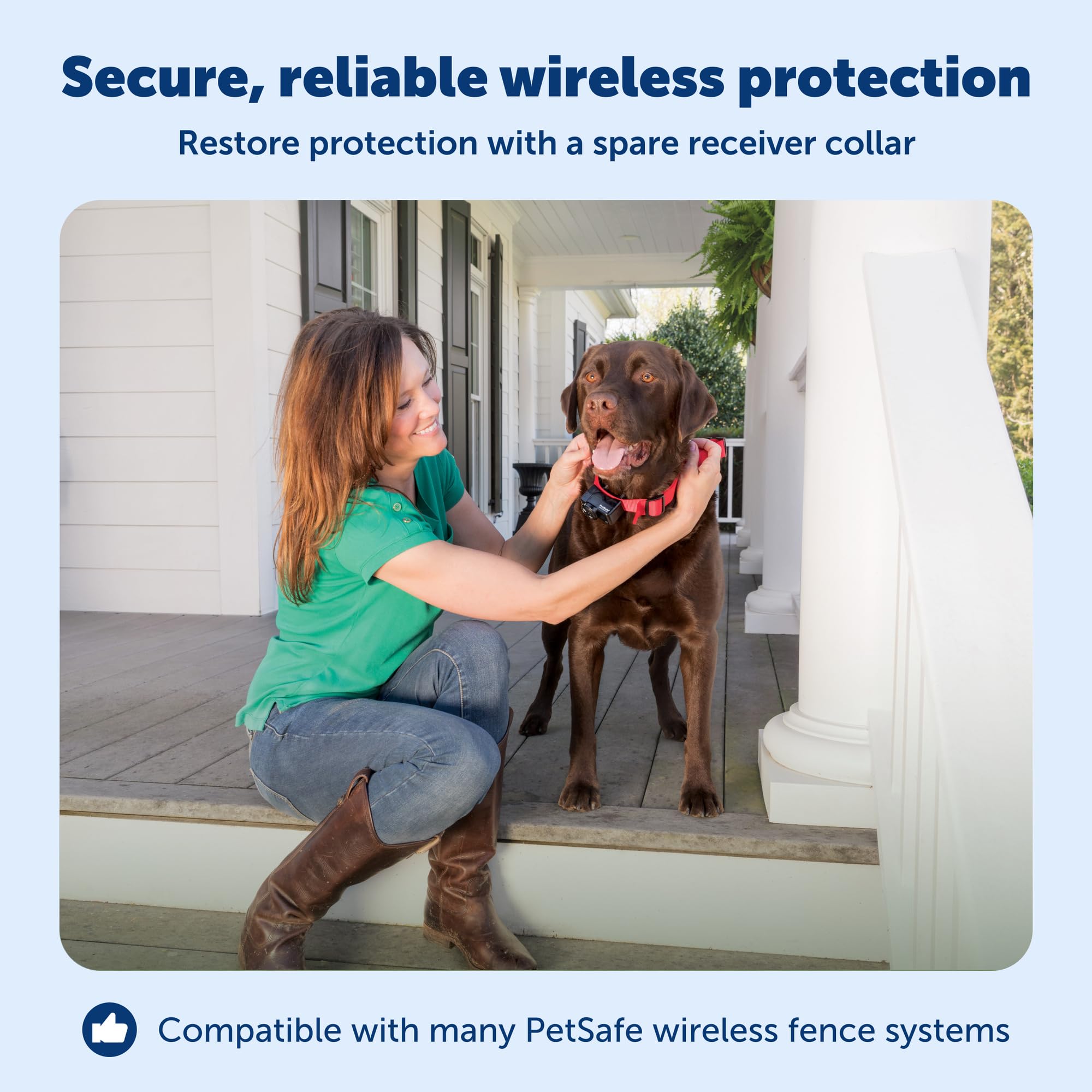 PetSafe collar on dog running outdoors enables safe yard freedom
