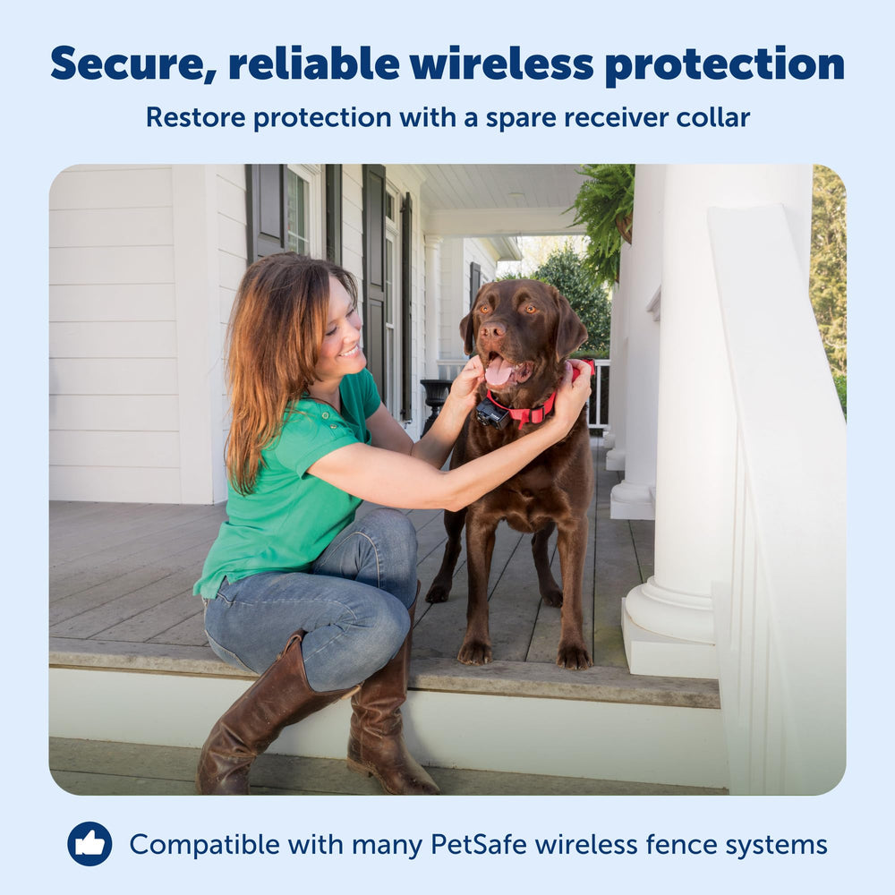PetSafe collar on dog running outdoors enables safe yard freedom