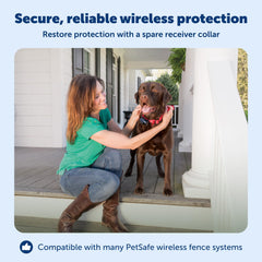PetSafe collar on dog running outdoors enables safe yard freedom