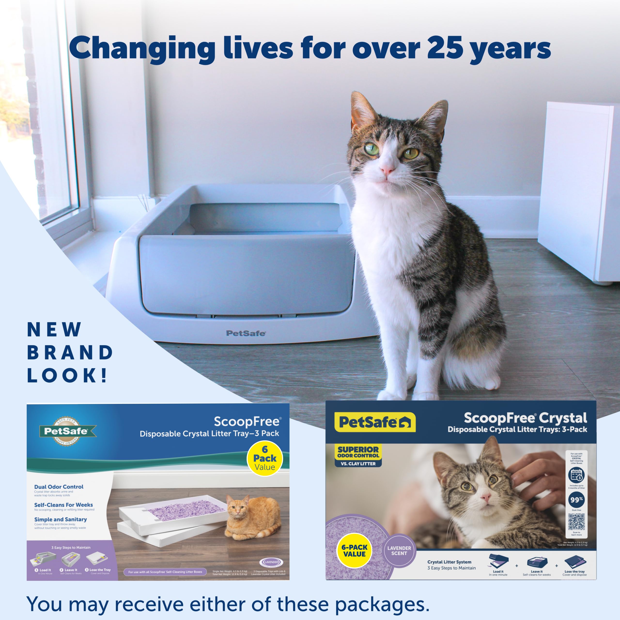 PetSafe tray next to ruler showing size and easy handling