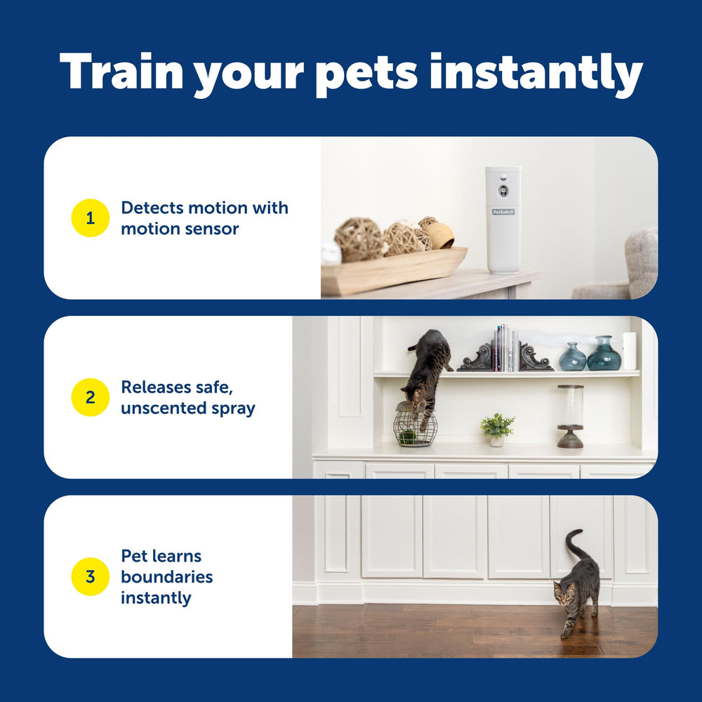 PetSafe SSSCAT on kitchen counter lifestyle scene showing pet-free surfaces and peace of mind