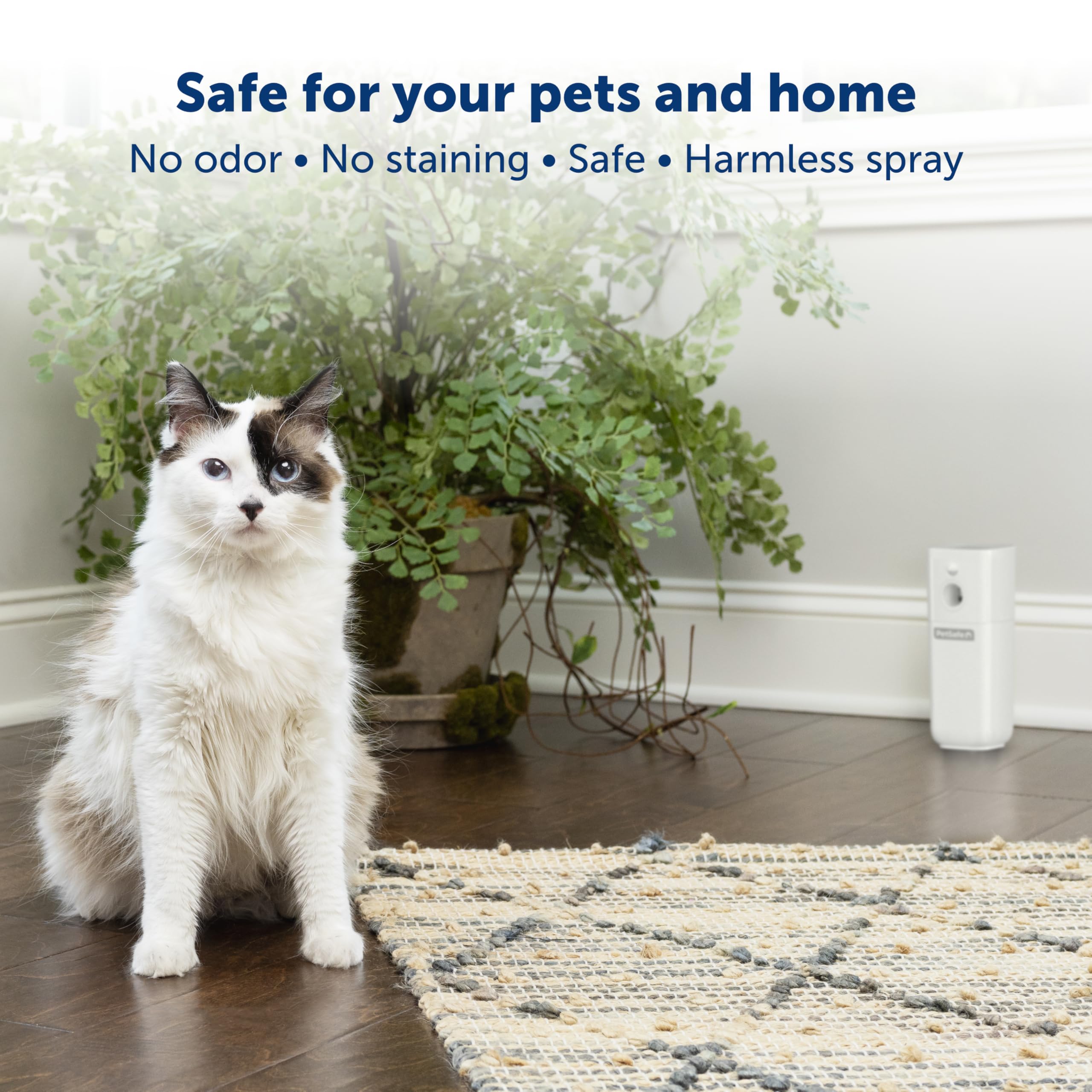 PetSafe SSSCAT refill canister detail highlighting ease of replacement and cost effectiveness