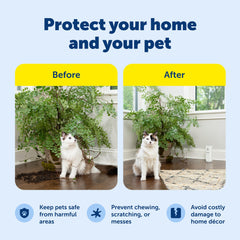PetSafe SSSCAT spray action demo illustrating motion-triggered burst and safe deterrence