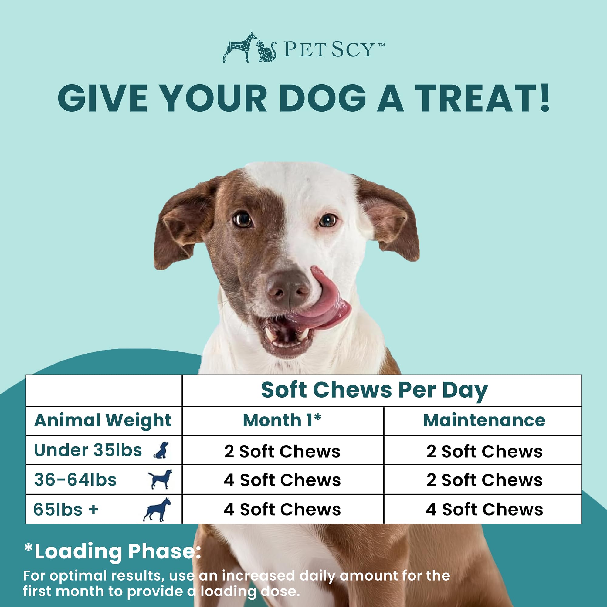 Petscy size and portion comparison displaying chew scale for correct dosing