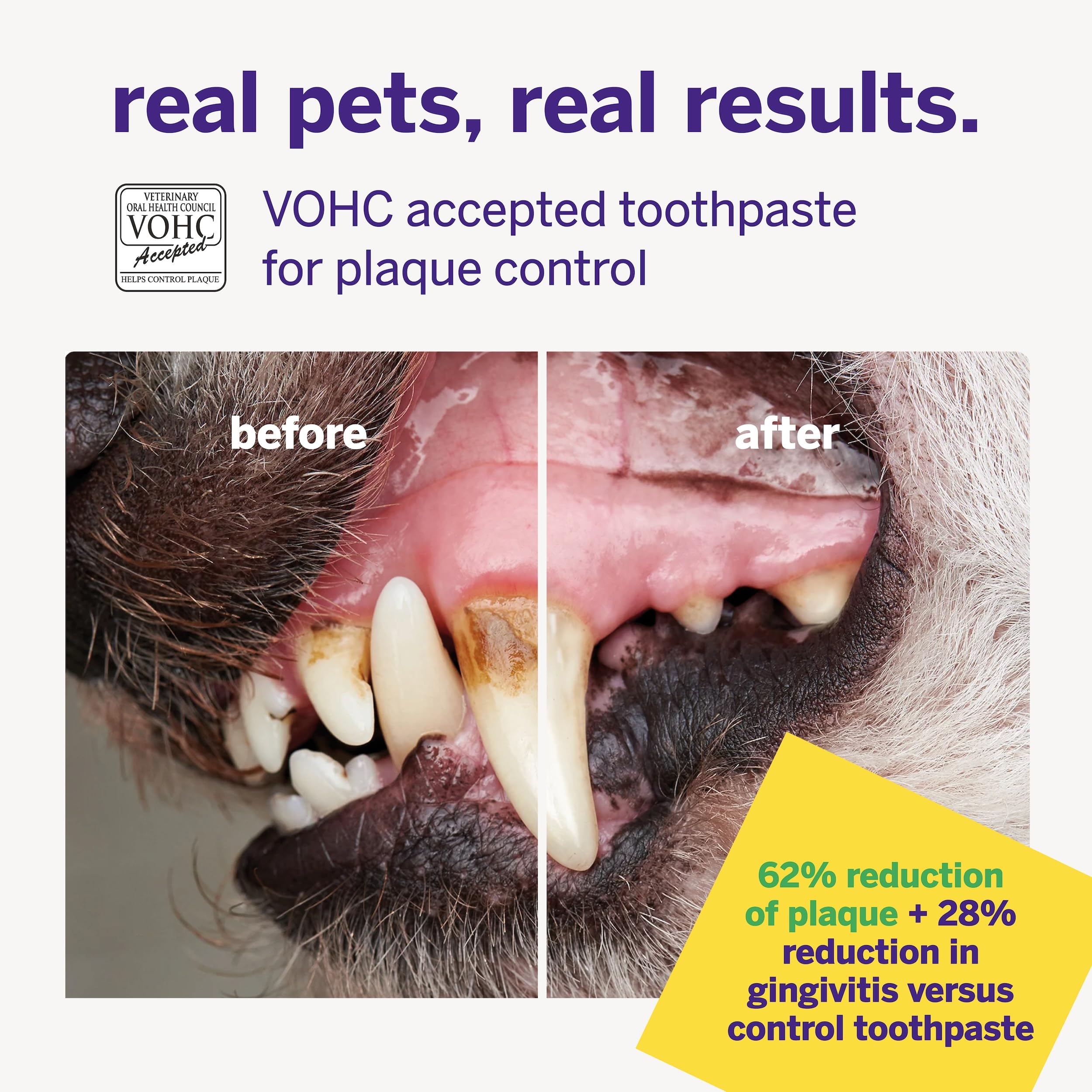 Close-up of Petsmile ingredient label highlighting human-grade safety