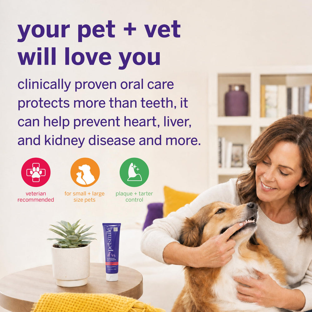 petsmile pearl of toothpaste on toothbrush ready to apply benefit: simple daily dosing