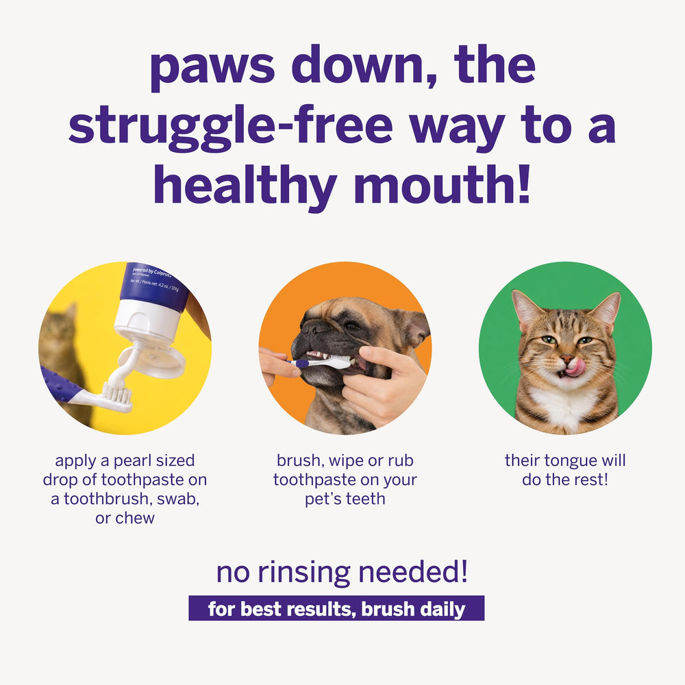 Dog licking Petsmile toothpaste, showing improved acceptance