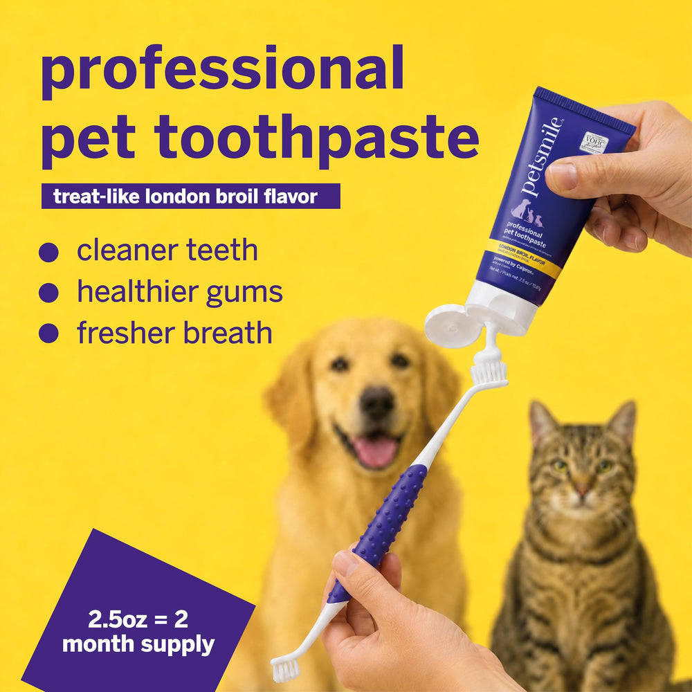 Petsmile paste texture close-up demonstrating non-abrasive formula