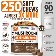 Petsology close-up of soft chew texture for easy chewing