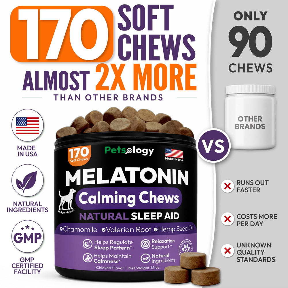 Petsology chew beside food bowl showing size scale and portioning benefit