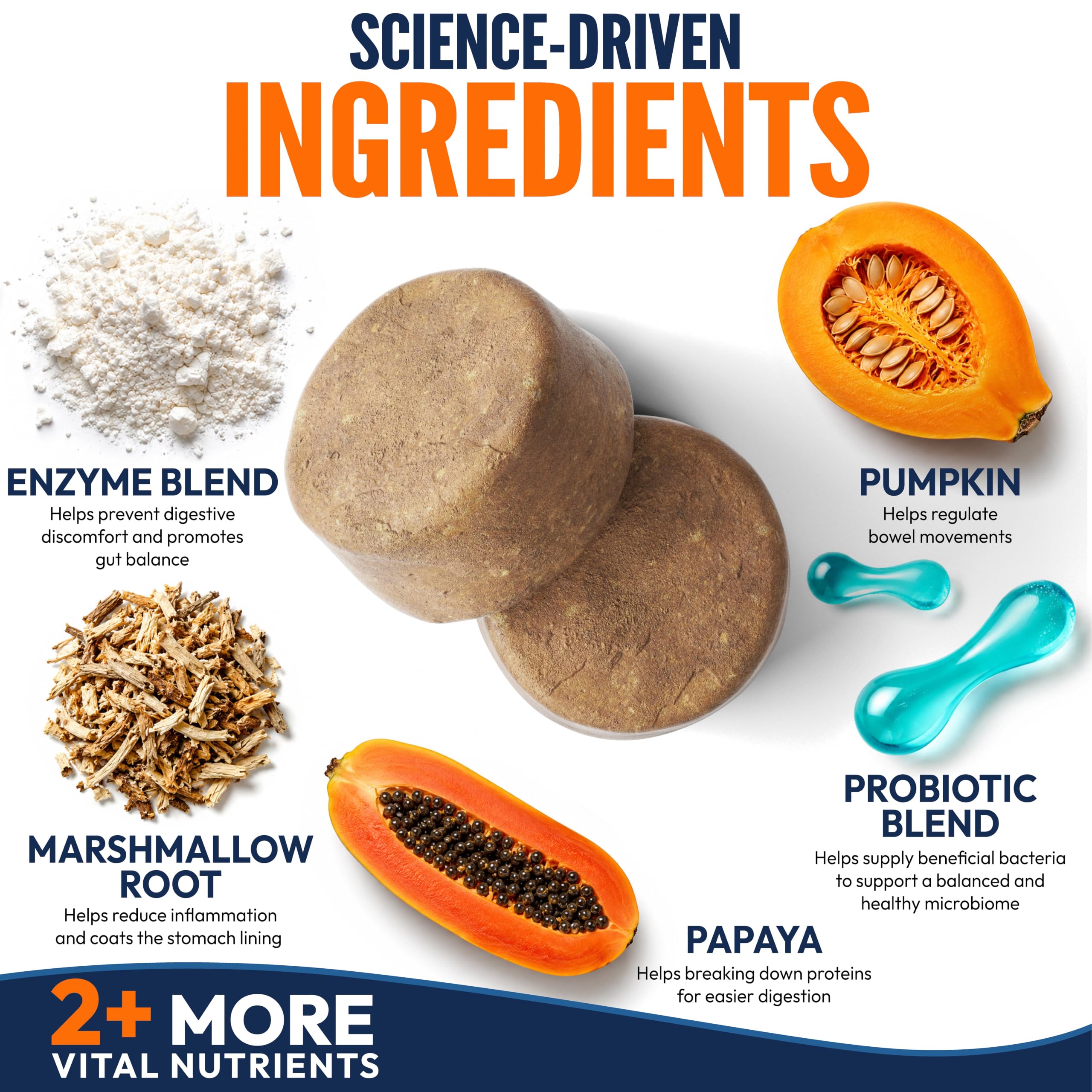 Petsology chew beside a coin size comparison demonstrating chew size for dosing