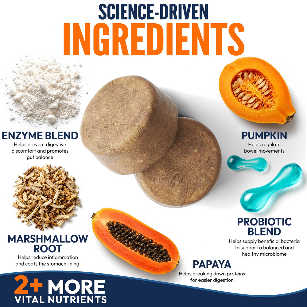 Petsology chew beside a coin size comparison demonstrating chew size for dosing