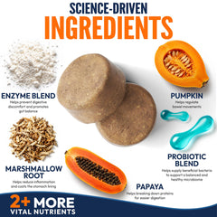 Petsology chew beside a coin size comparison demonstrating chew size for dosing