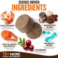 Petsology chews in hand illustrating size and convenient serving