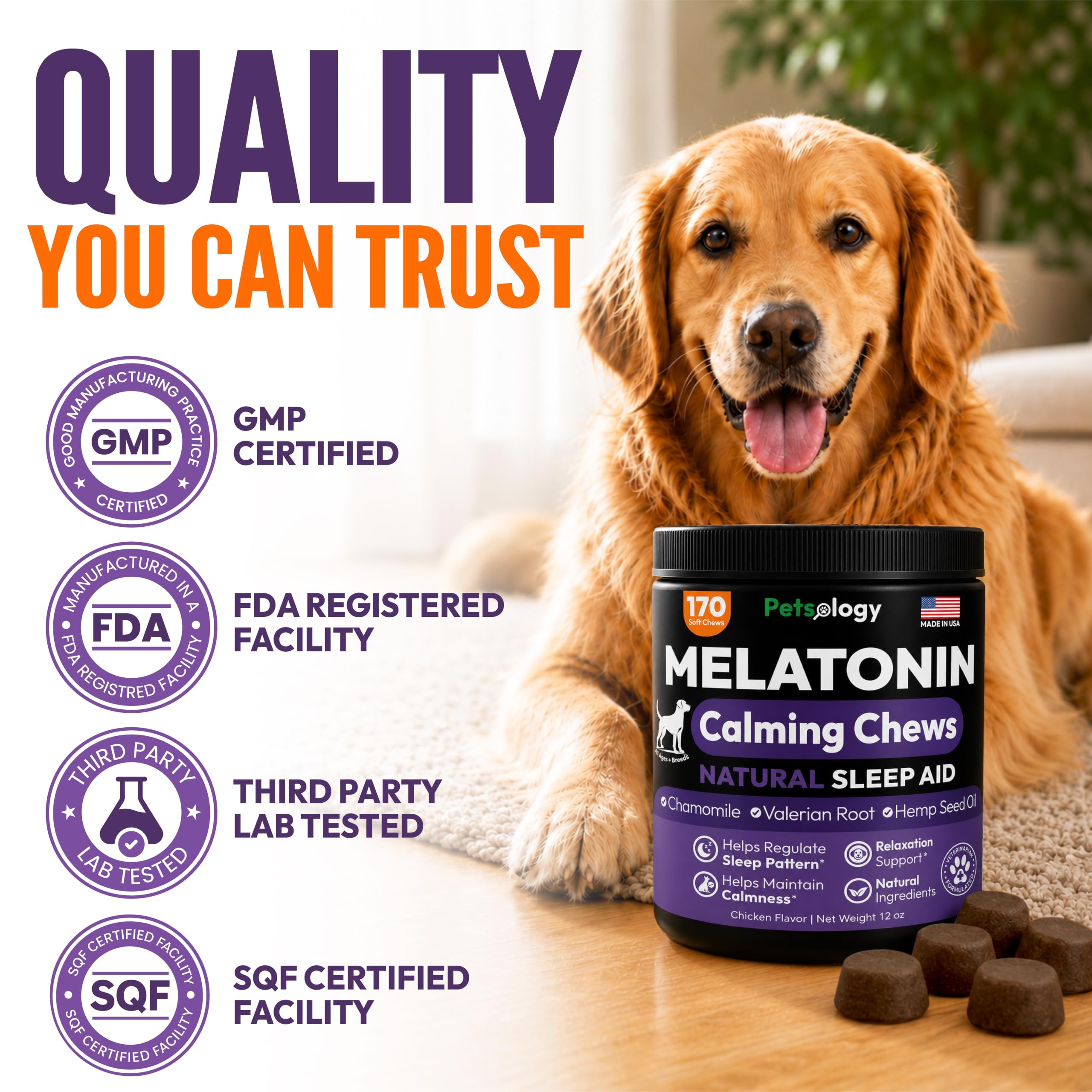Petsology chews scattered on table showing multiple servings and shelf-ready benefit