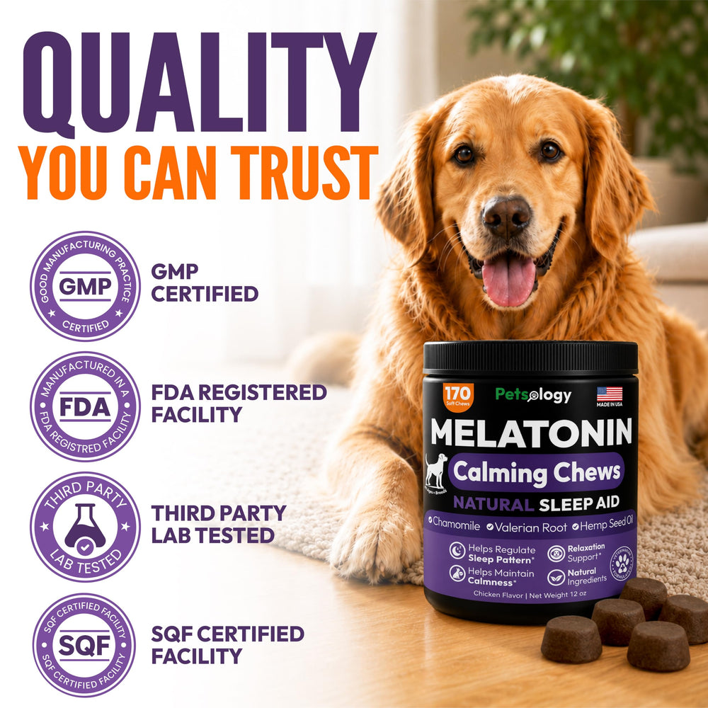 Petsology chews scattered on table showing multiple servings and shelf-ready benefit