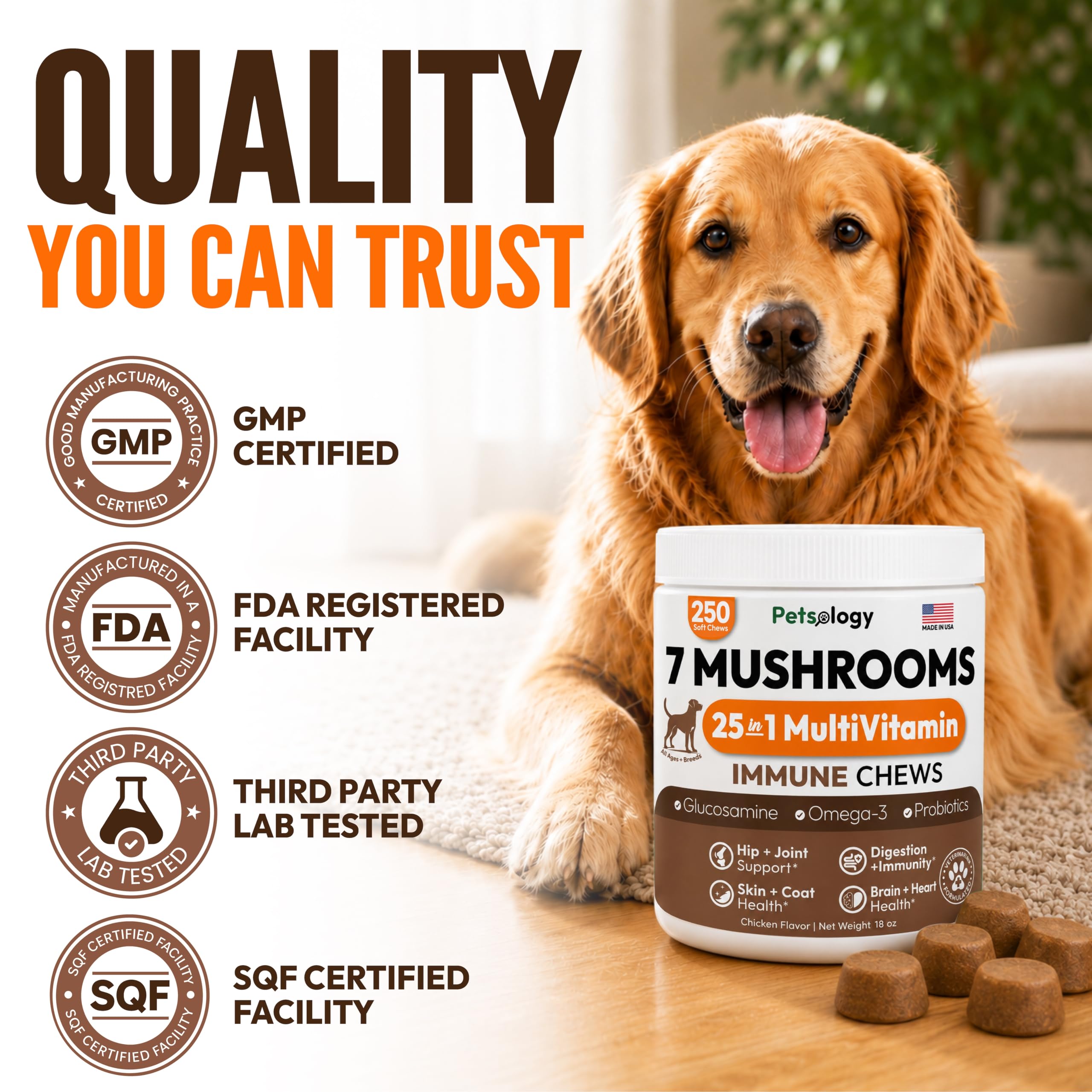 Petsology dog happily eating a chew demonstrating palatability