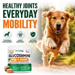 Petsology dog eating chew demonstrating palatable daily support