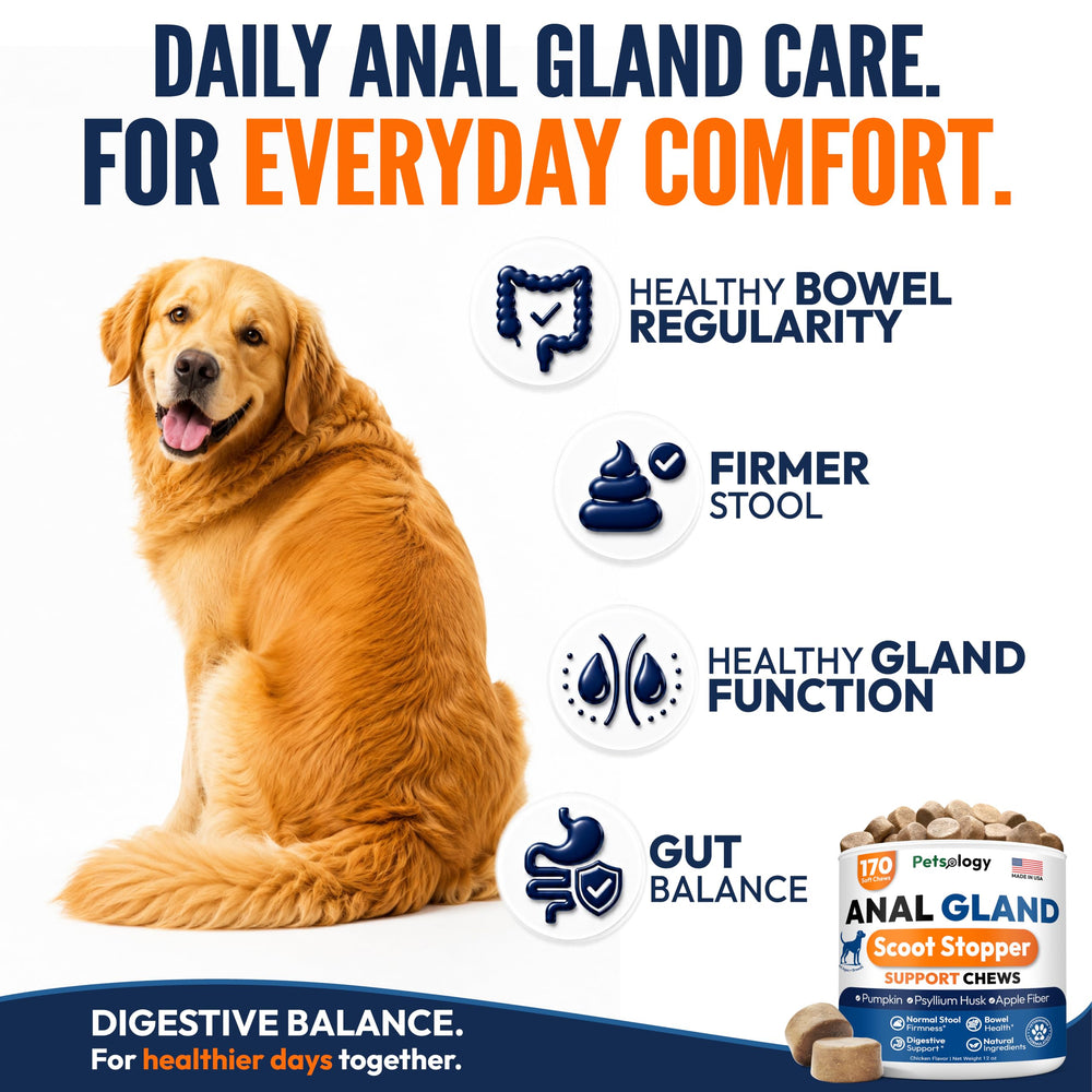 Petsology dog eating a chew, demonstrating palatable and convenient dosing
