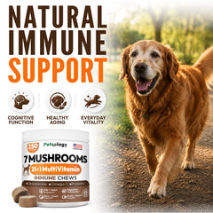 Petsology ingredient bowl with mushrooms highlighting natural blend