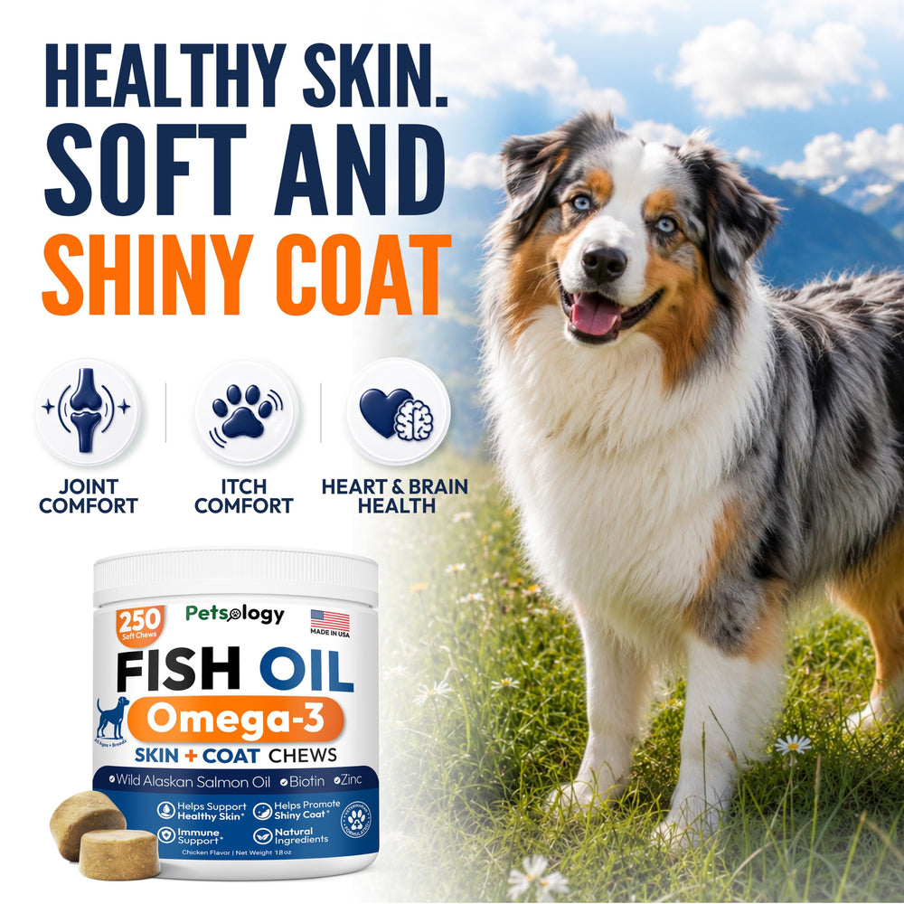 Petsology ingredient label showing EPA and DHA amounts for transparency
