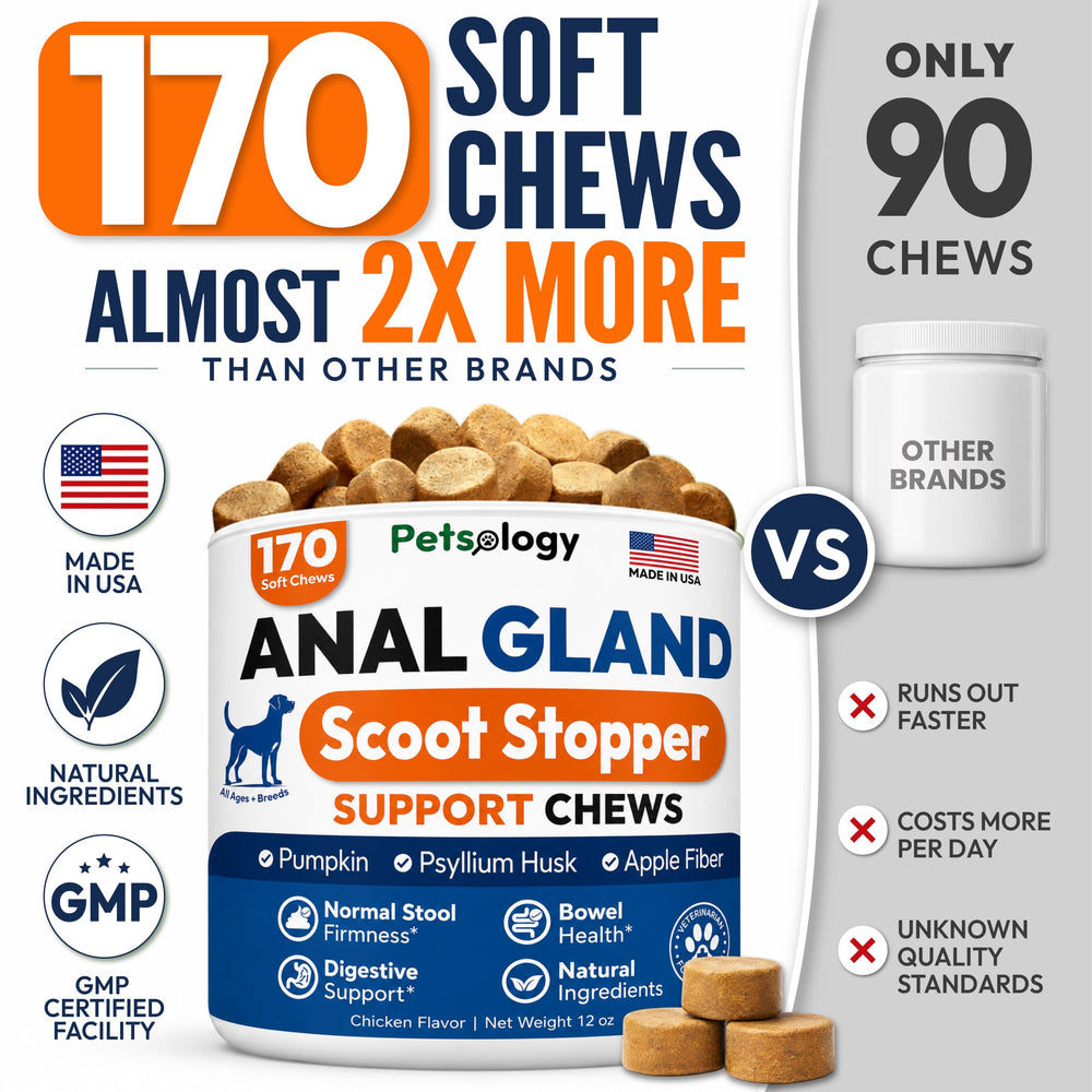 Petsology pumpkin ingredient close-up highlighting natural fiber benefit