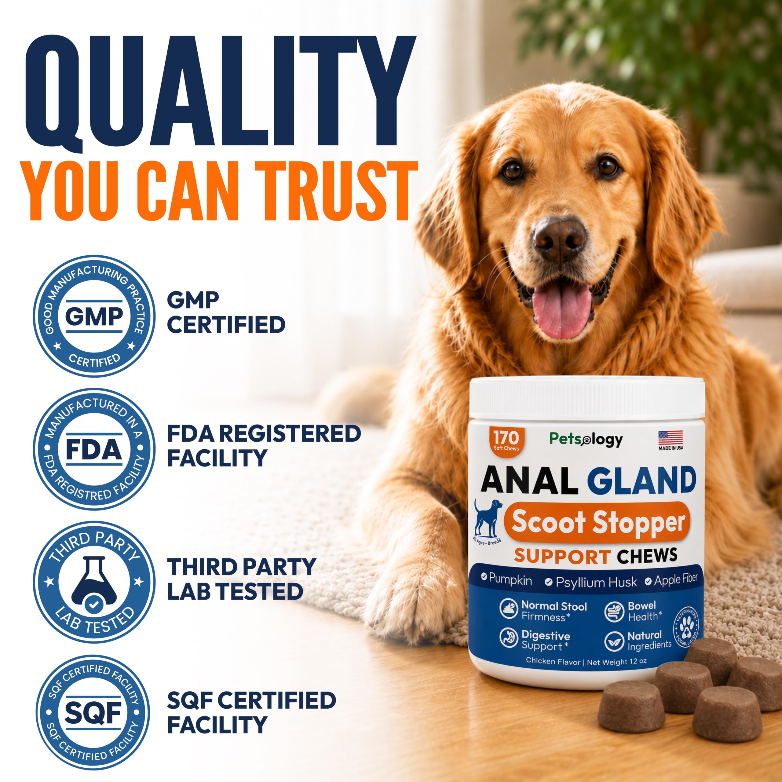 Petsology chew size next to hand for scale, shows easy-to-administer benefit