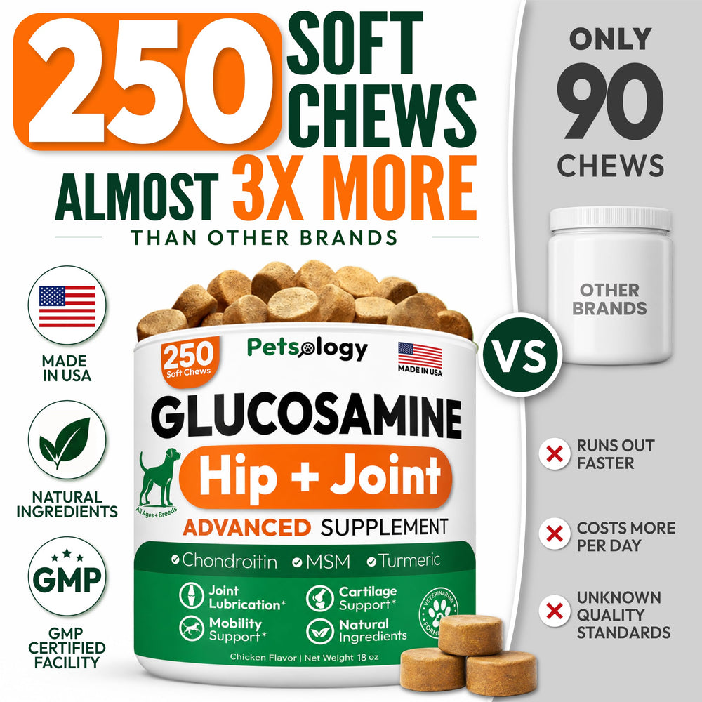 Petsology close-up of soft chew texture showing easy-to-chew benefit
