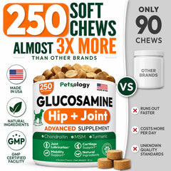 Petsology close-up of soft chew texture showing easy-to-chew benefit