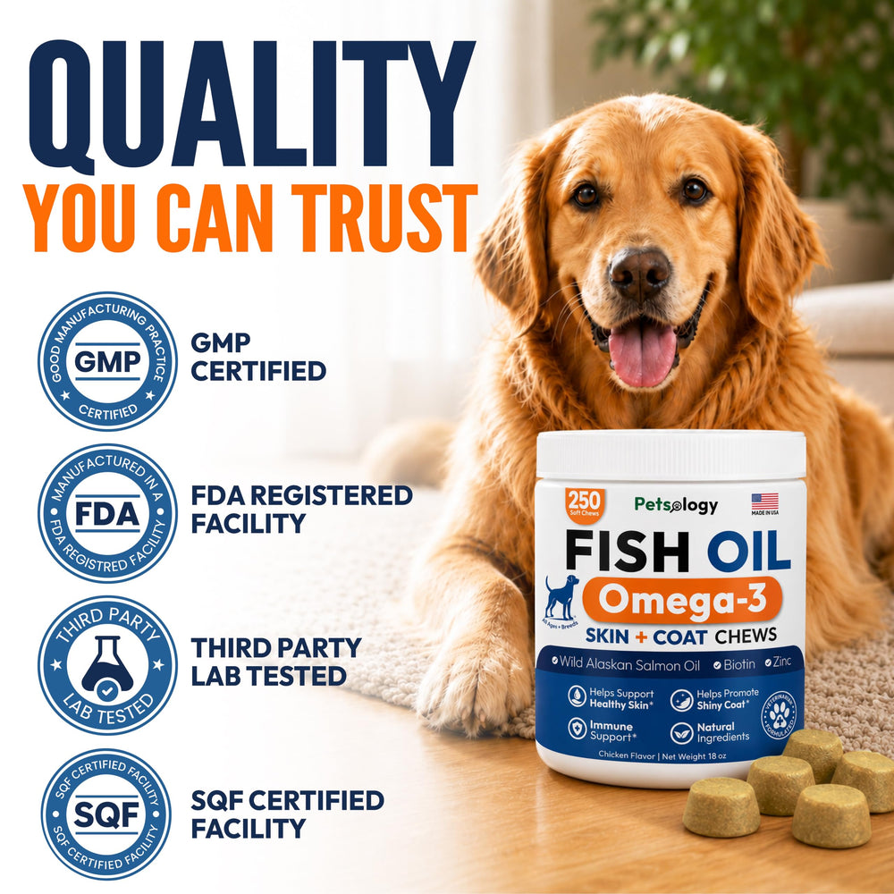 Petsology oil sheen on fur showing improved coat gloss from omega-3s