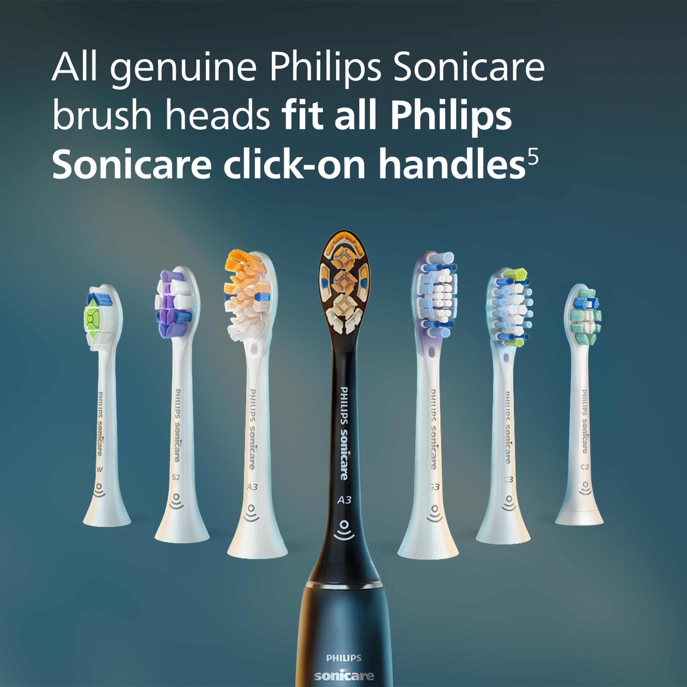 Philips Sonicare two brush heads displayed to show six-month replacement supply