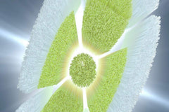 Philips Sonicare bristle close-up highlighting diamond-shaped bristles and stain removal