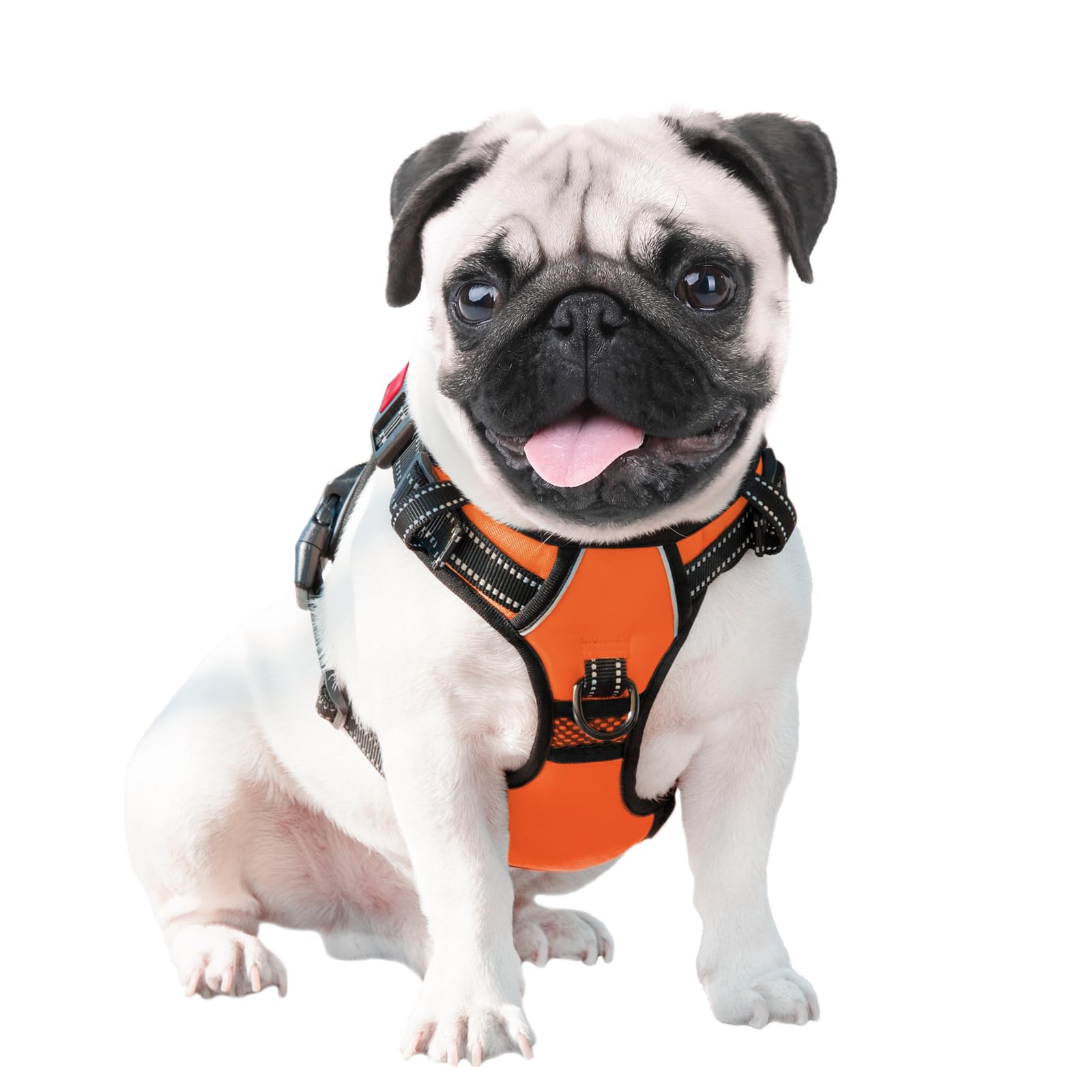 PHOEPET side buckles and lockable neck clip for easy on/off