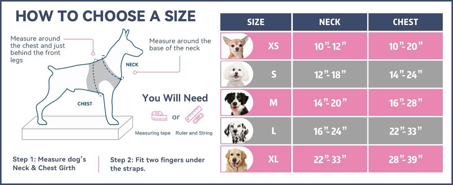 PHOEPET harness on small dog for accurate size and scale reference