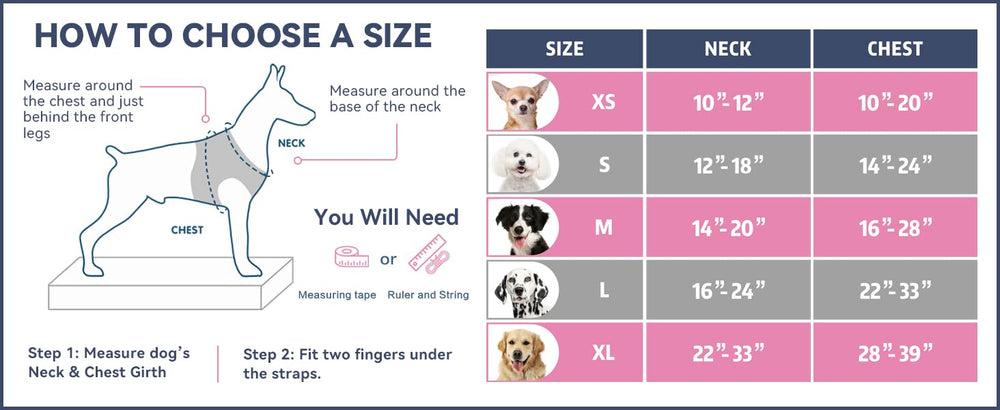PHOEPET harness on small dog for accurate size and scale reference