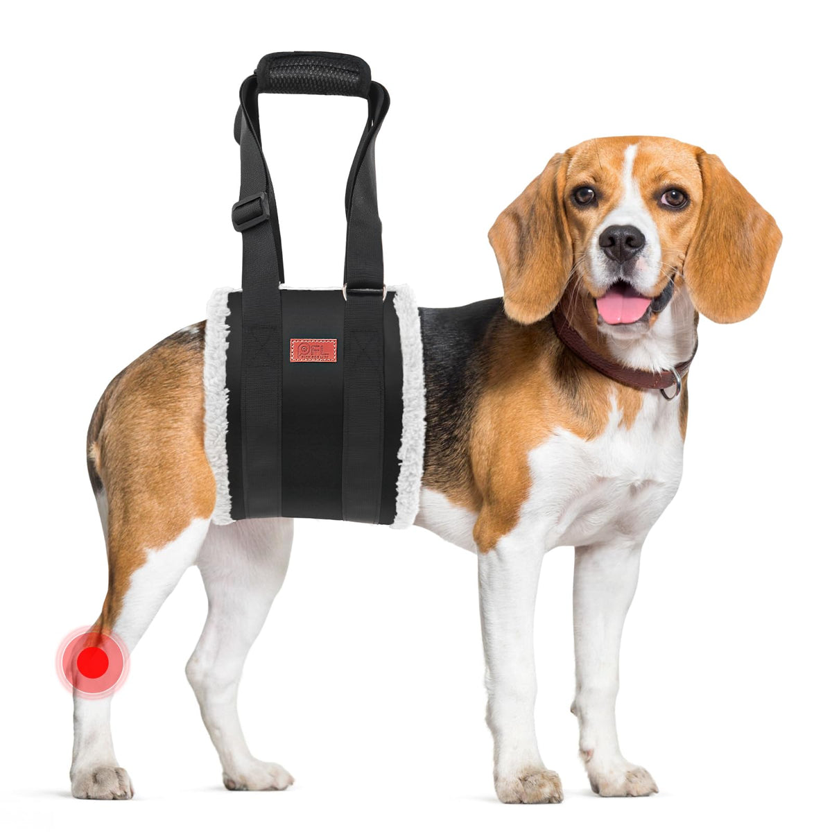 PICK FOR LIFE front view of dog sling showing full support and ease