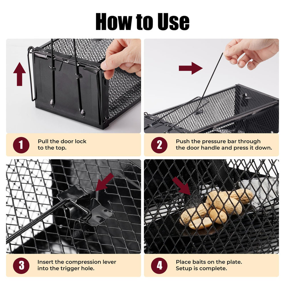 Pivmuth trap in use with bait inside demonstrating easy set-up and capture