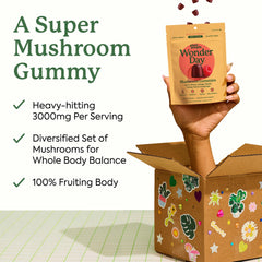 Plant People WonderDay close-up of raspberry mushroom gummies, easy daily chew
