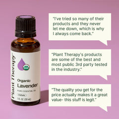 Plant Therapy lavender diffused in calm bedroom scene promoting restful atmosphere
