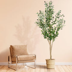 plantsworld faux olive tree front view showing full 6ft height and graceful shape