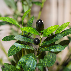 plantsworld trunk and branching showing sturdy stems and lifelike bark texture