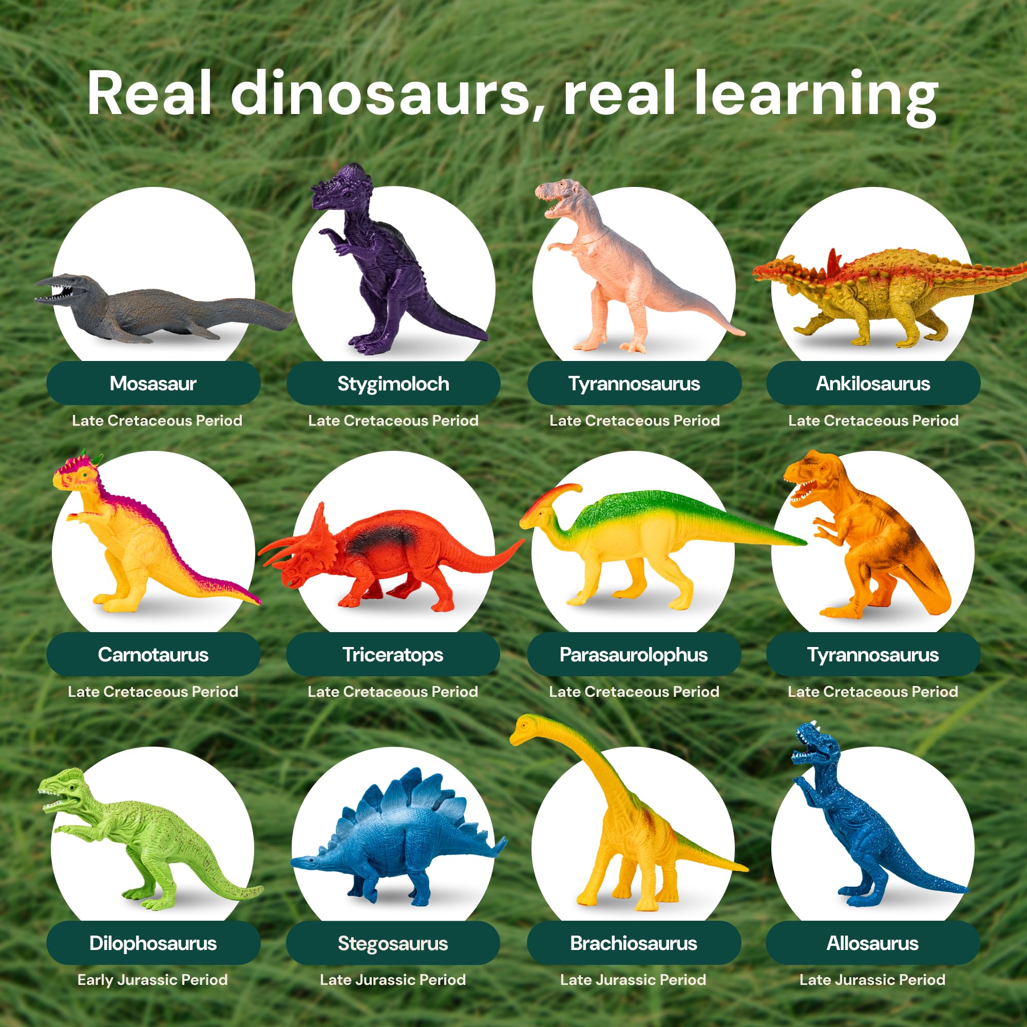 PLAYVIBE storage box open with dinosaurs inside for organized portability and protection