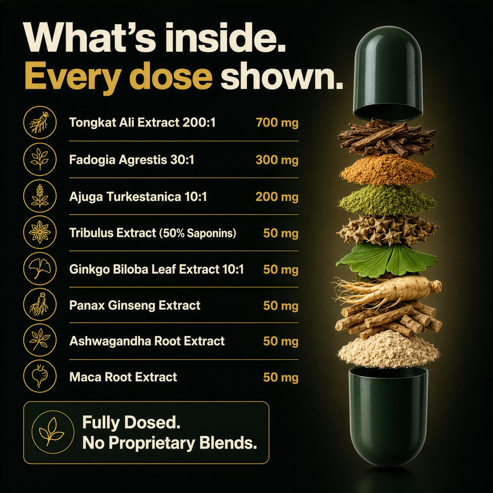 Plus+Ultra vegetarian capsule close-up emphasizing clean, plant-based texture