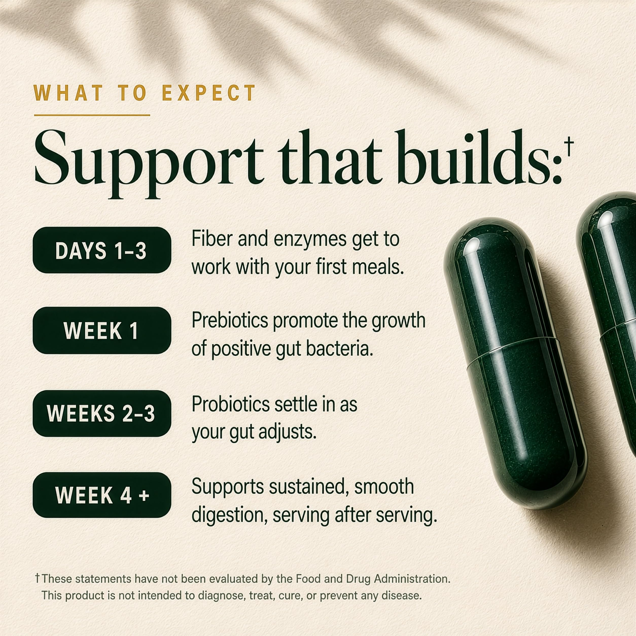 Plus+Ultra ingredient blend on spoon highlighting prebiotic fibers and digestive enzymes