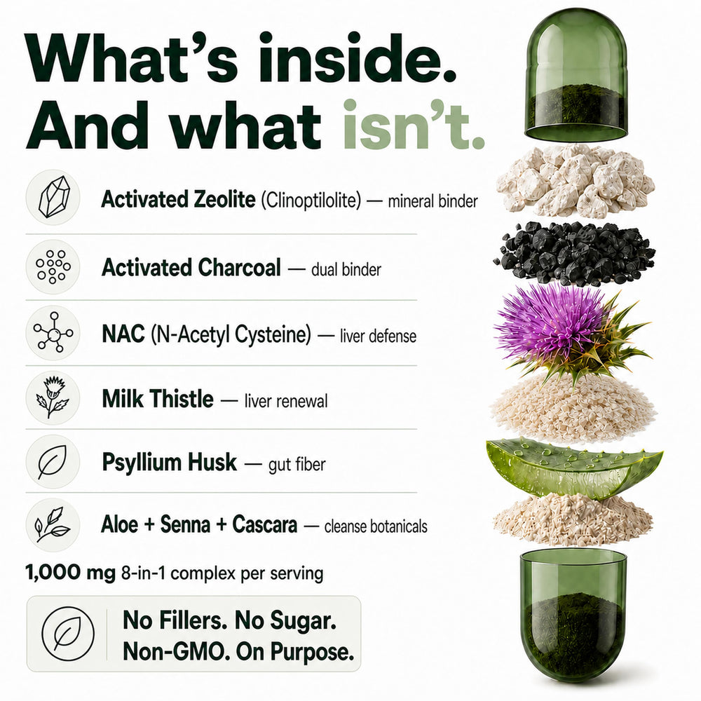 Plus+Ultra powder texture and granules illustrating clinoptilolite and charcoal composition clarity