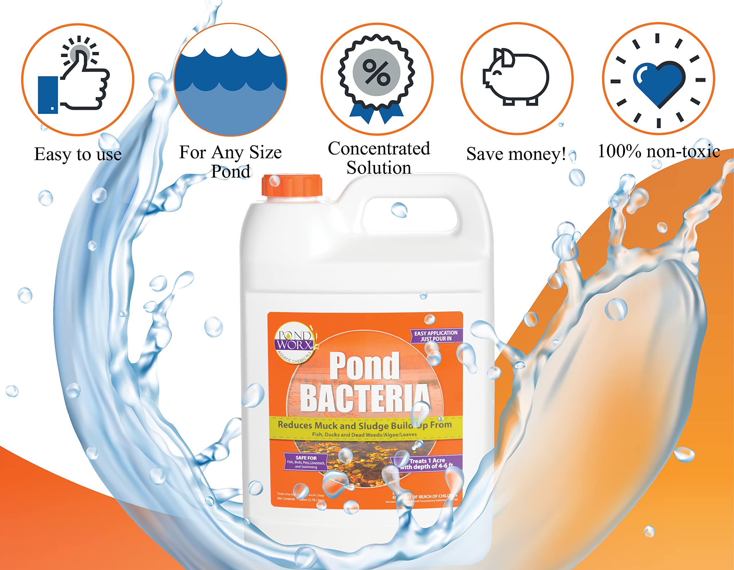 Pond Worx used in koi pond demonstrating clearer water and healthier habitat