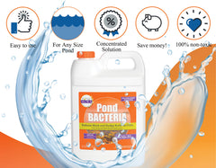 Pond Worx used in koi pond demonstrating clearer water and healthier habitat