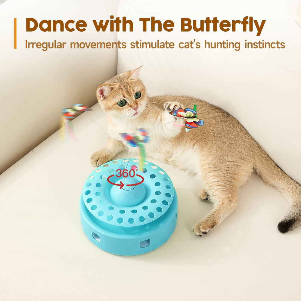 Potaroma butterfly in mid-flight capturing flutter motion to inspire jumping benefit