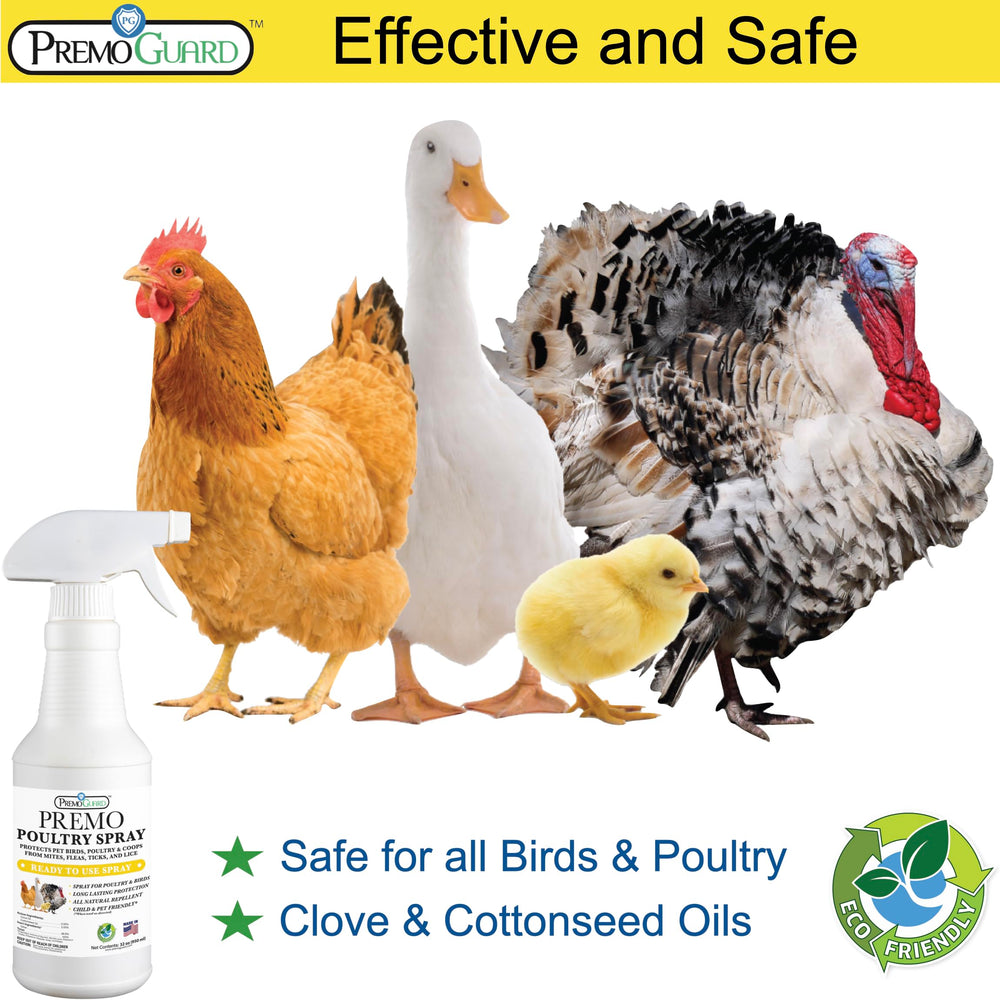 Premo Guard mist being applied to chicken feathers for fast parasite control