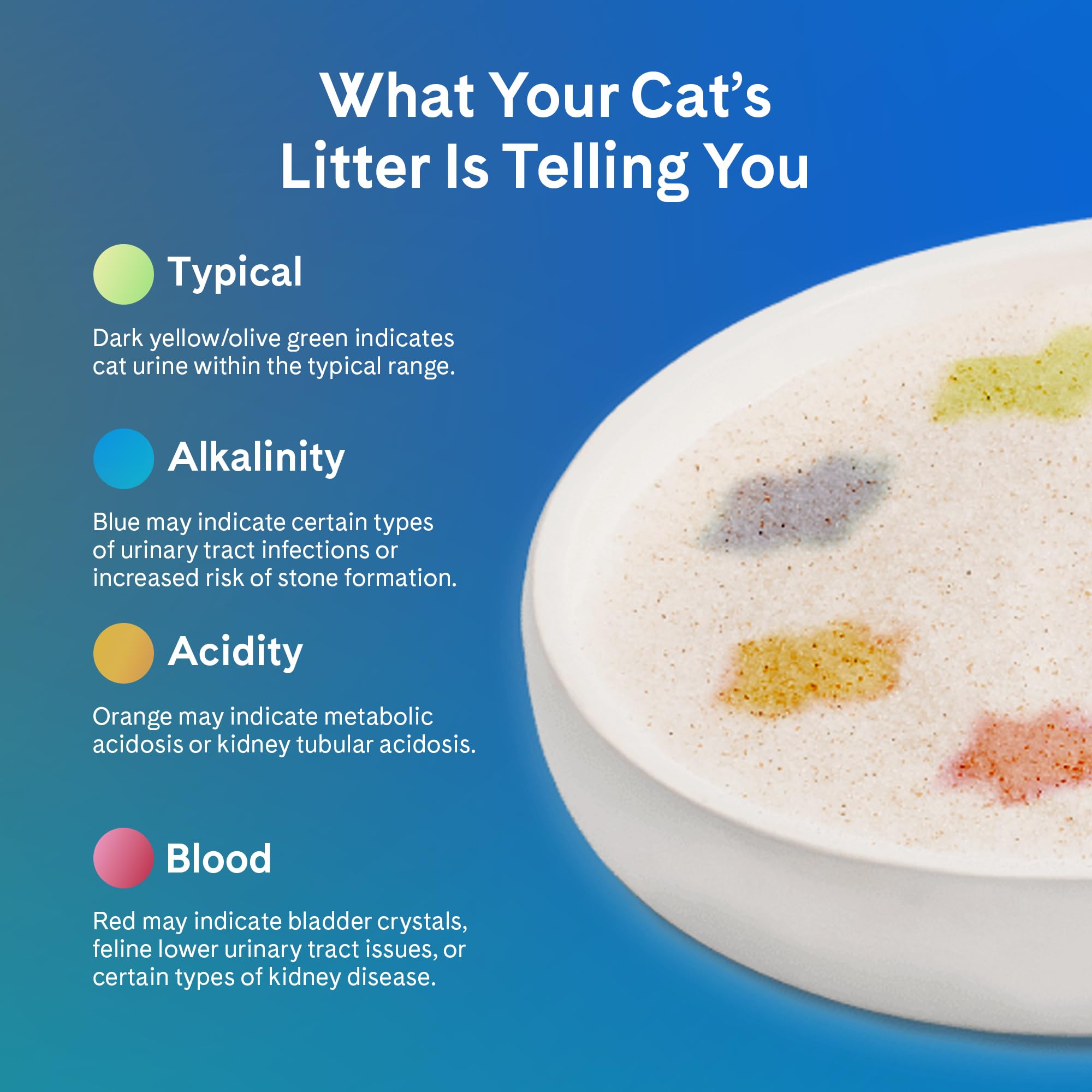 PrettyLitter in bathroom lifestyle setting showing discreet odor control